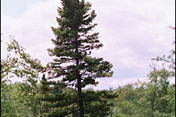 Kra30.cc