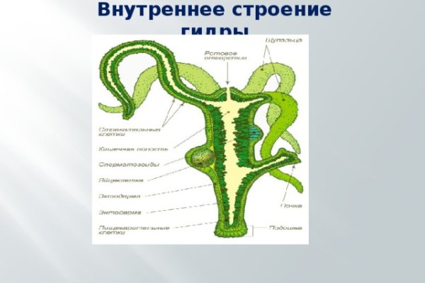 Кракен сайт с наркотиками