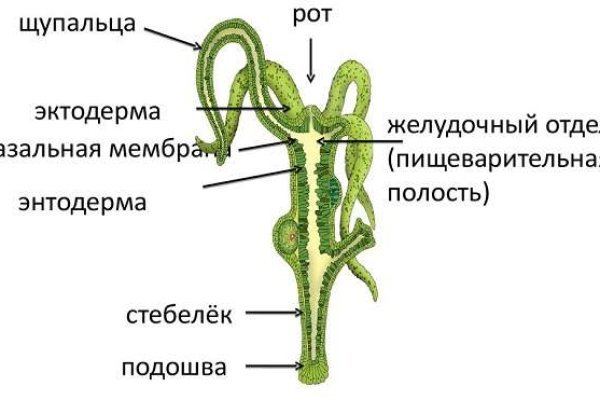 Магазин кракен как попасть