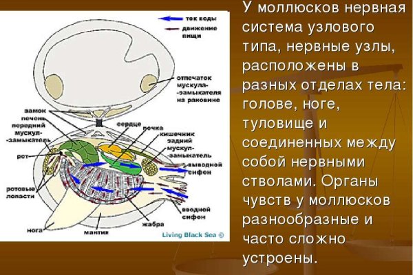 Kraken сайт вход