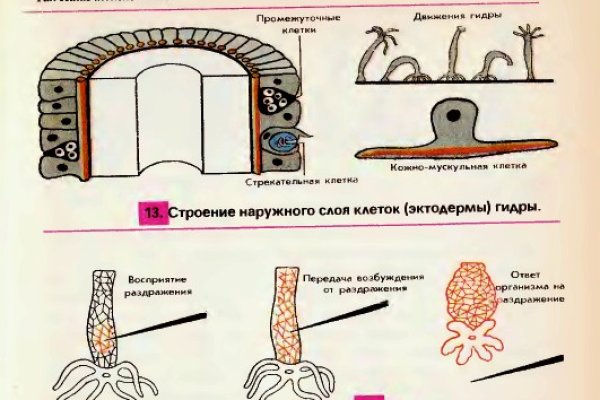 Кракен сайт бошки