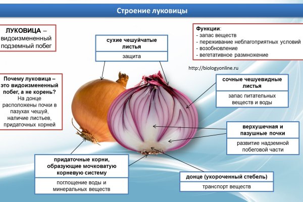 Кракен шоп это